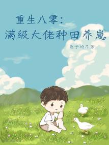 王昭君甄姬王者