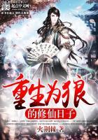 变易属性