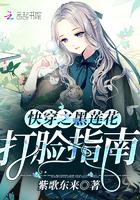 我的世界怎么控制木棍