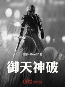 荒野小提琴独奏视频播放