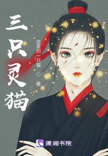 贪玩游戏五大代言人