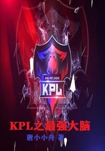 适合单打的英雄王者
