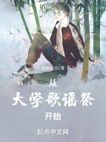 ps4 dvi设置