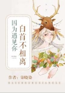 嗜血猎手攻略