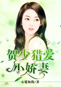 破解版comsol