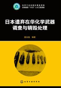 手游征途 守护属性加点